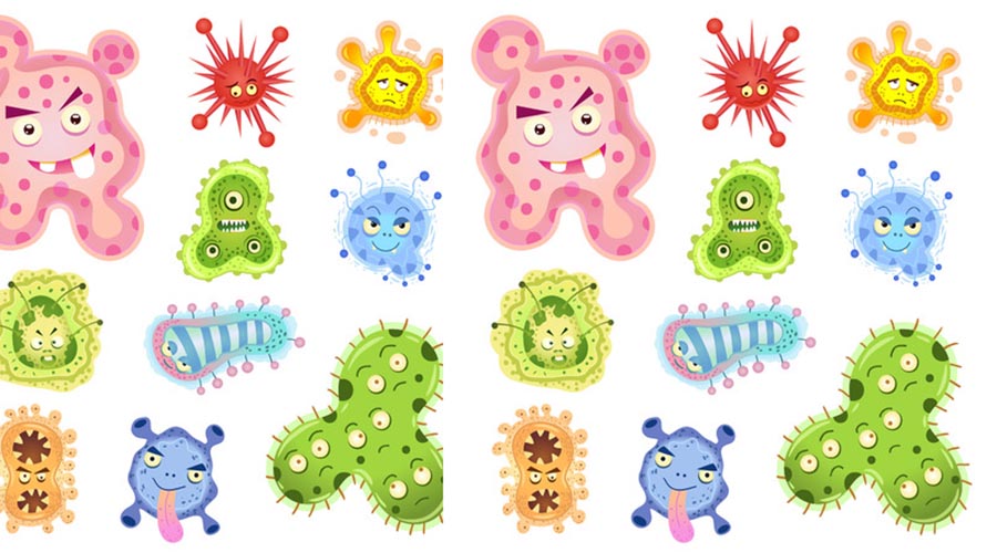 益生菌冷知識(shí) 益生菌知識(shí)